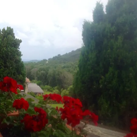 Su Punta Ala